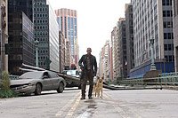 Image from: I Am Legend (2007)