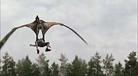 Image from: Pterodactyl (2005)