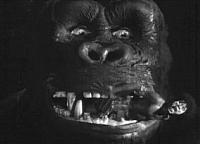 Image from: King Kong (1933)
