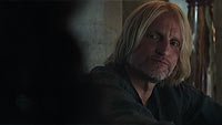 Image from: Hunger Games: Mockingjay [Part 2], The (2015)