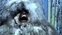 Image from: Snowbeast (1977)