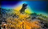 Image from: Godzilla (1977)