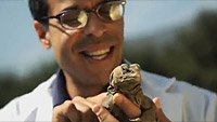 Image from: Lizard Boy (2011)