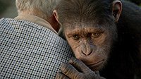Image from: Rise of the Planet of the Apes (2011)