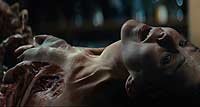 Image from: Thing, The (2011)