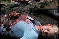 Image from: Alien Incursion (2006)