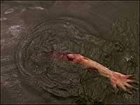 Image from: Snakehead Terror (2004)