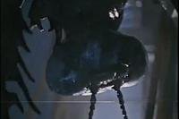 Image from: Insect (1987)