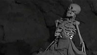 Image from: Lost Skeleton of Cadavra, The (2001)