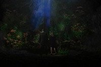 Image from: Sex Files: Alien Erotica II (2000)