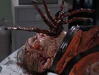 Image from: Spiders (2000)