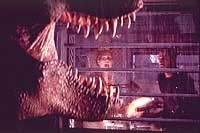 Image from: Jurassic Park II: The Lost World (1997)