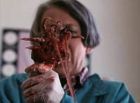 Image from: Ticks (1993)