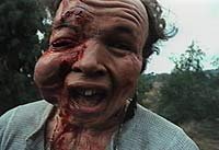 Image from: Ticks (1993)