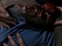 Image from: Ticks (1993)