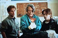 Image from: Ticks (1993)