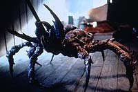Image from: Ticks (1993)