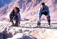 Image from: Tremors (1990)