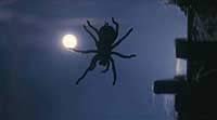Image from: Arachnophobia (1990)