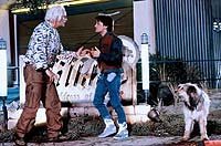 Image from: Back to the Future Part II (1989)