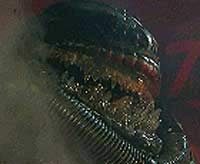 Image from: Alien Degli Abissi (1989)
