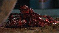 Image from: Alien Predators (1986)