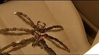 Image from: Transmorphers: Fall of Man (2009)