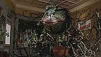 Image from: Little Shop of Horrors (1986)