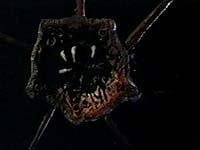 Image from: Without Warning (1980)
