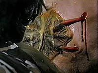 Image from: Without Warning (1980)