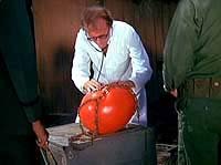 Image from: Attack of the Killer Tomatoes! (1978)