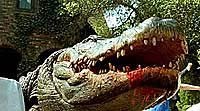 Image from: Alligator (1980)