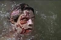 Image from: Piranha (1978)