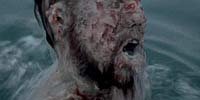 Image from: Tentacoli (1977)