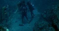 Image from: Tentacoli (1977)