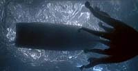 Image from: Tentacoli (1977)
