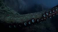 Image from: Tentacoli (1977)