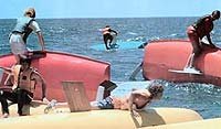 Image from: Tentacoli (1977)