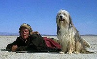 Image from: Boy and His Dog, A (1975)