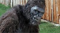 Image from: Schlock (1973)