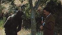 Image from: Schlock (1973)