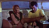 Image from: The Silencers (1966)