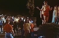 Image from: Village of the Giants (1965)