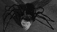 Image from: Curse of the Fly, The (1965)