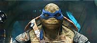 Image from: Teenage Mutant Ninja Turtles (2014)