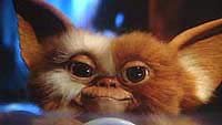 Image from: Gremlins (1984)