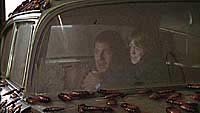 Image from: They Nest (2000)