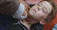 Image from: They Nest (2000)
