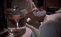 Image from: Revenge of Frankenstein, The (1958)