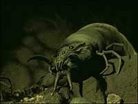 Image from: Arachnia (2003)